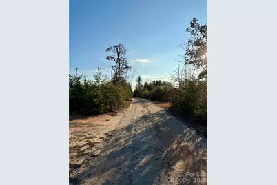 0 Brady Hampton Drive, Rutherfordton, NC 28139 - Photo 27