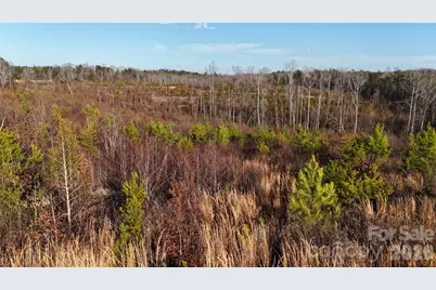 0 Brady Hampton Drive, Rutherfordton, NC 28139 - Photo 15