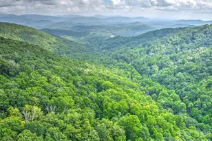 30 Red Oak Forest Rd, Fairview, NC 28730 - Photo 3