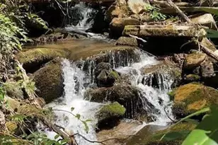 30 Red Oak Forest Rd, Fairview, NC 28730 - Photo 43