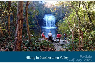 Lot 25 Lakeside Trail, Lake Toxaway, NC 28747 - Photo 9