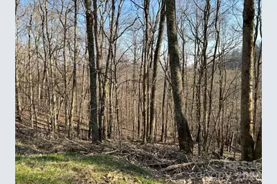 0000 Trillium Lane, Mars Hill, NC 28754 - Photo 3