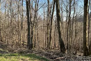 0000 Trillium Ln, Mars Hill, NC 28754 - Photo 3