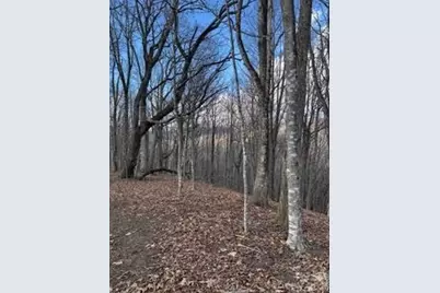 00 Mule Stomp Road, Clyde, NC 28721 - Photo 11