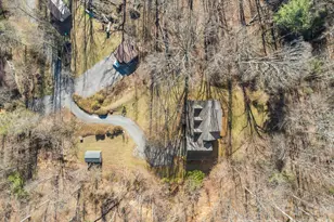 29 Shady Pines Dr, Asheville, NC 28805 - Photo 35