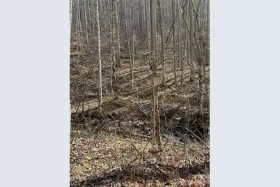 00000 Martins Creek Road, Barnardsville, NC 28709 - Photo 3