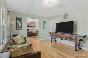 435 Thermal View Dr, Tryon, NC 28782 - Photo 5