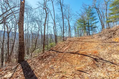 107 Bartram Way, Black Mountain, NC 28711 - Photo 7