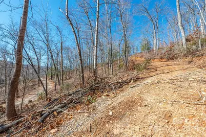 107 Bartram Way, Black Mountain, NC 28711 - Photo 9