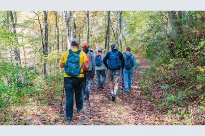 346 Birdymay Drive, Tuckasegee, NC 28783 - Photo 43