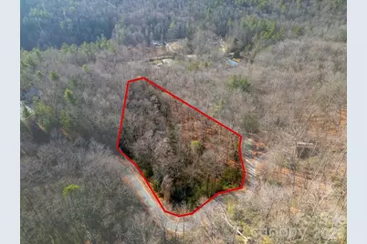 Lot 48 Fox Den Road, Brevard, NC 28712 - Photo 11