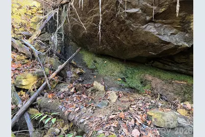 Lot 48 Fox Den Road, Brevard, NC 28712 - Photo 9