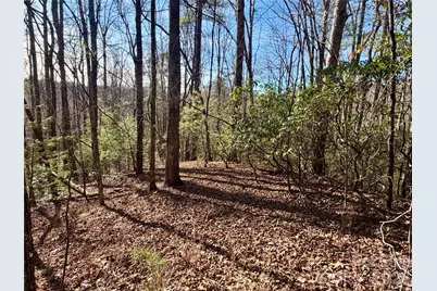 Lot 48 Fox Den Road, Brevard, NC 28712 - Photo 5