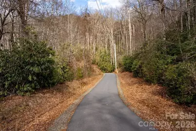 Lot 48 Fox Den Road, Brevard, NC 28712 - Photo 13