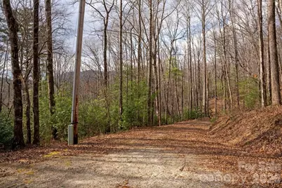 Lot 48 Fox Den Road, Brevard, NC 28712 - Photo 3