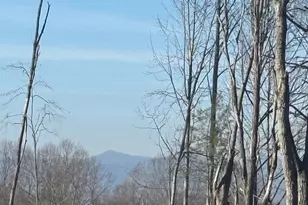 905 Hutch Mountain Rd, Fletcher, NC 28732 - Photo 1