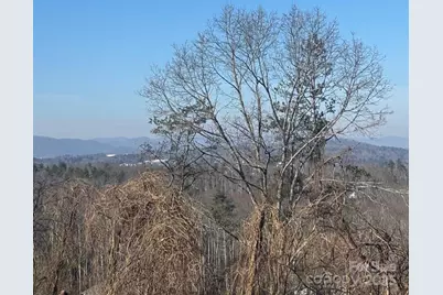 905 Hutch Mountain Road, Fletcher, NC 28732 - Photo 9