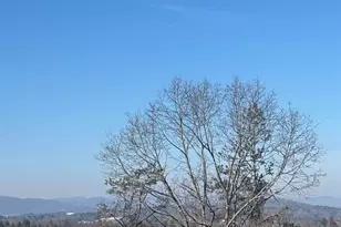 905 Hutch Mountain Rd, Fletcher, NC 28732 - Photo 9