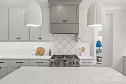 1607 Tippah Park Court, Charlotte, NC 28205 - Photo 15