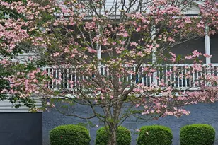 130 Greenwich Dr, Statesville, NC 28677 - Photo 47