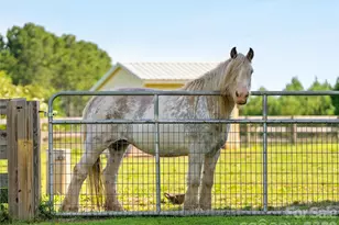 150 Rabbit Moffitt Rd, Rutherfordton, NC 28139 - Photo 39