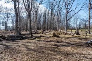 3021 Tryon Courthouse Rd, Bessemer City, NC 28016 - Photo 17