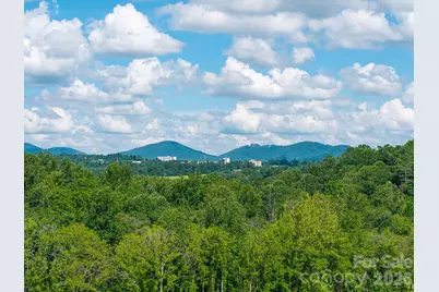 413 Big Hill Drive #85, Arden, NC 28704 - Photo 19