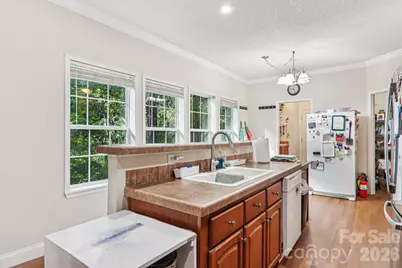 342 Hookers Gap Road, Candler, NC 28715 - Photo 7