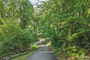 342 Hookers Gap Rd, Candler, NC 28715 - Photo 23