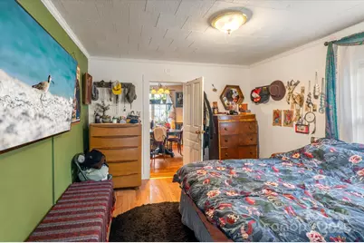 16 Sycamore Street, Asheville, NC 28804 - Photo 23