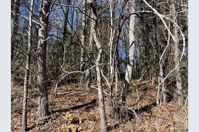 3155 Fredrick Place, Granite Falls, NC 28630 - Photo 5