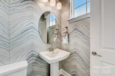 411 Jetton Street, Davidson, NC 28036 - Photo 19