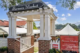 339 Alameda Wy, Matthews, NC 28104 - Photo 41