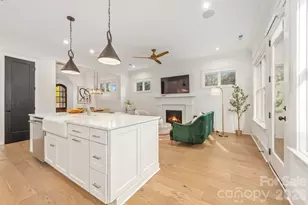 607 Mattie Rose Ln, Charlotte, NC 28204 - Photo 9