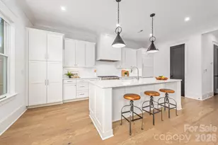 607 Mattie Rose Ln, Charlotte, NC 28204 - Photo 15