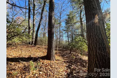 000 Didrikson Way #244, Hendersonville, NC 28739 - Photo 13