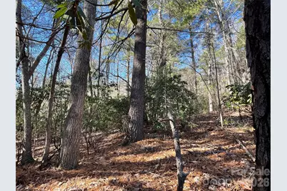 000 Didrikson Way #244, Hendersonville, NC 28739 - Photo 9