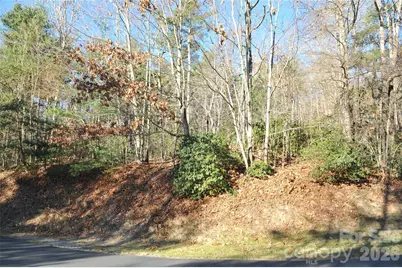000 Didrikson Way #244, Hendersonville, NC 28739 - Photo 3