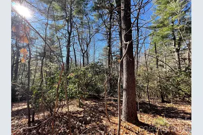 000 Didrikson Way #244, Hendersonville, NC 28739 - Photo 11