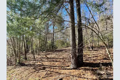 000 Didrikson Way #244, Hendersonville, NC 28739 - Photo 5