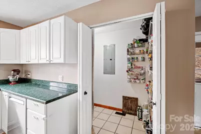 381 Hookers Gap Road, Candler, NC 28715 - Photo 13