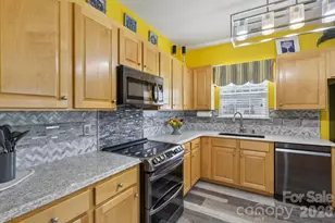 3019 Twin Peaks Ct, Monroe, NC 28110 - Photo 19