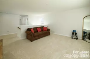 10745 Sapphire Trail, Davidson, NC 28036 - Photo 21