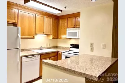 211 Heritage Boulevard #205, Fort Mill, SC 29715 - Photo 3