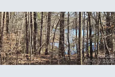 1222 Cartwright Drive, Catawba, NC 28609 - Photo 1