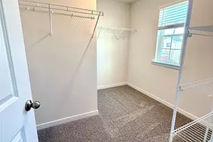 12415 Lady Bell Dr, Charlotte, NC 28278 - Photo 23