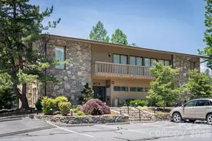 205 Wild Oak Ln, Hendersonville, NC 28791 - Photo 39