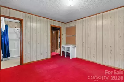 154 Wilson Drive, Canton, NC 28716 - Photo 19