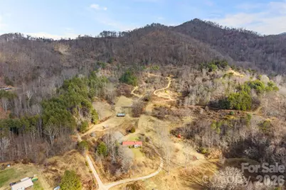 154 Wilson Drive, Canton, NC 28716 - Photo 43