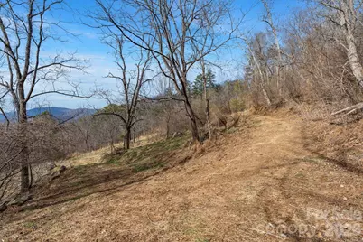 999 Wilson Drive, Canton, NC 28716 - Photo 25